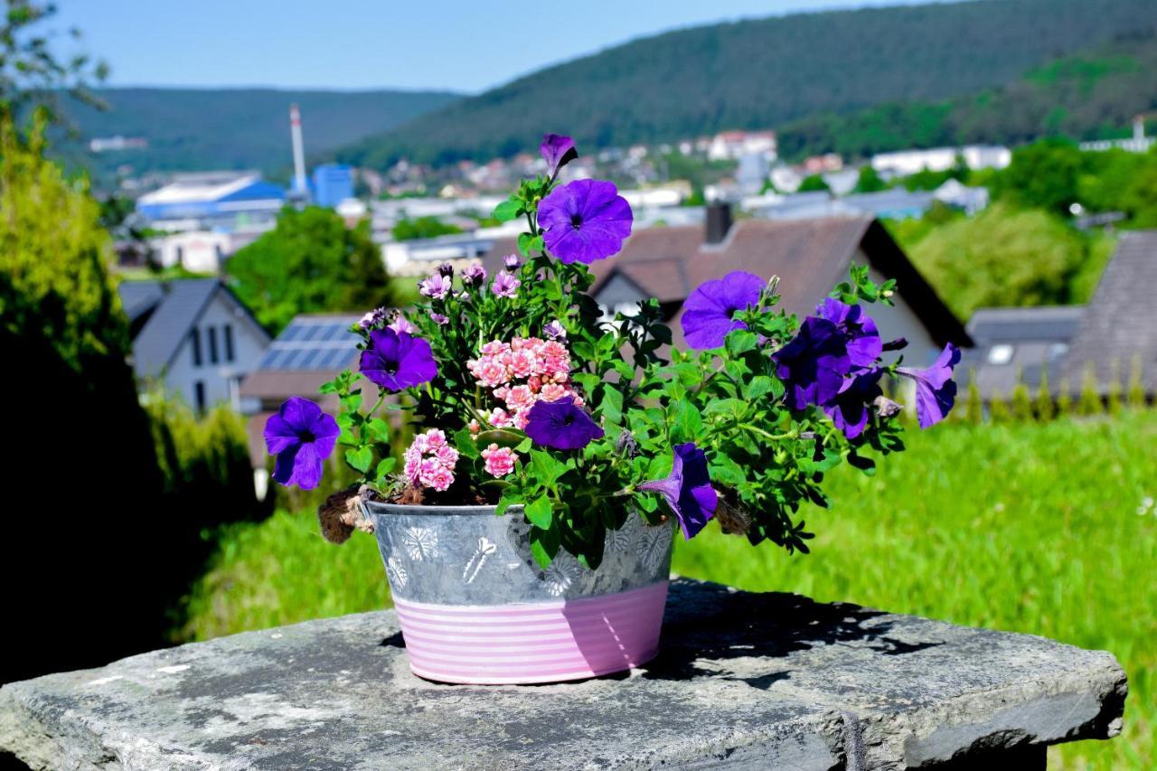 Hotel Bergwiesen - Zimmer Mit Balkon Oder Terasse Lohr am Main ภายนอก รูปภาพ
